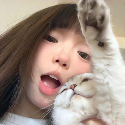 猫狗大战3：爪爪集结！