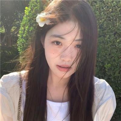 路柳墙花